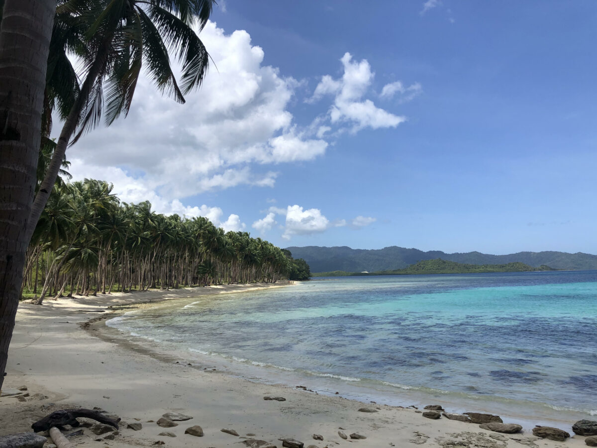 Paisaje paradisíaco con palmeral y agua turquesa