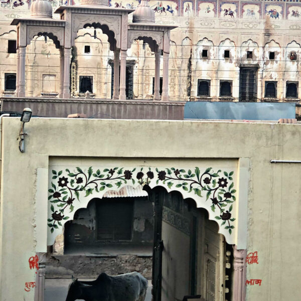 vista de un haveli con una vaca en la puerta