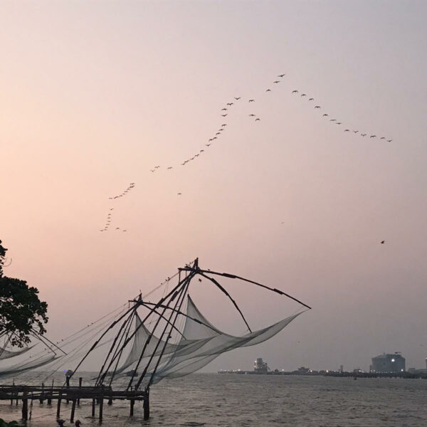 redes de pesca china gigantes con pájaros volando de fondo