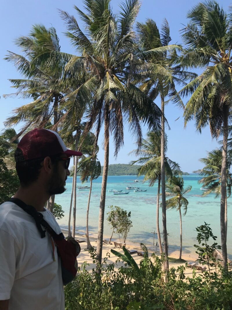 Vista de la playa desde el palmeral.