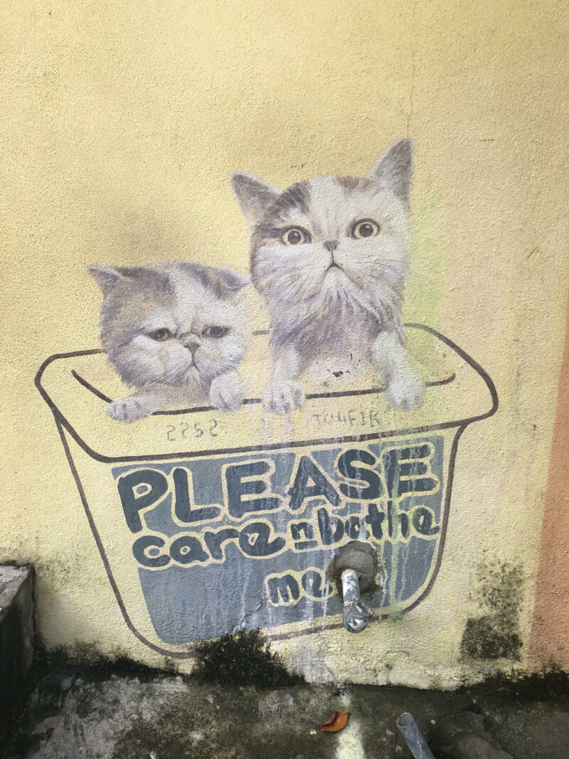 Graffiti de gatos