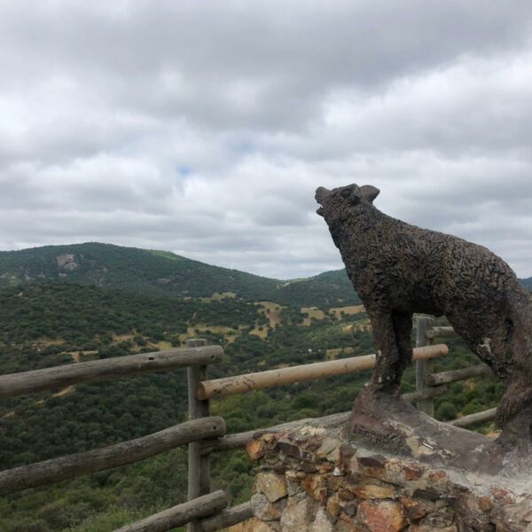 Mirador del Quejío.  Escapada rural a la Sierra Norte