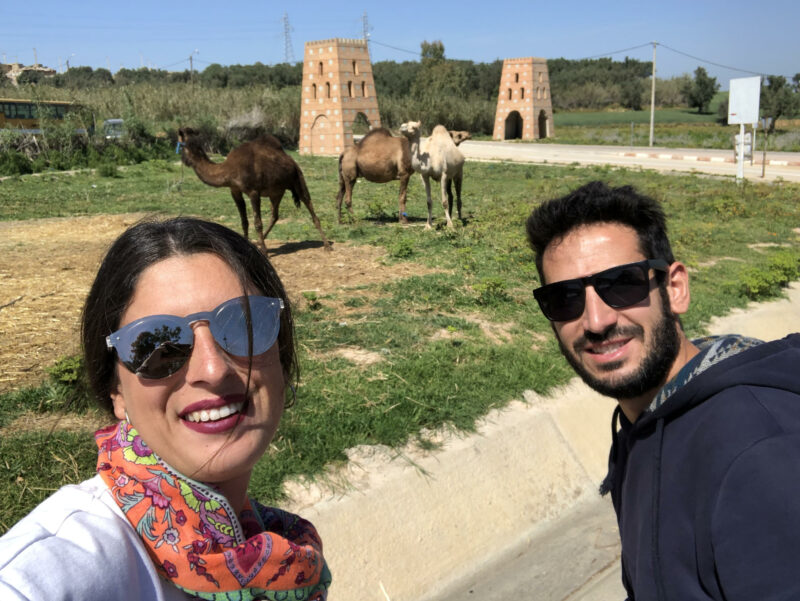 Top 4. Camellos camino a Meknes.