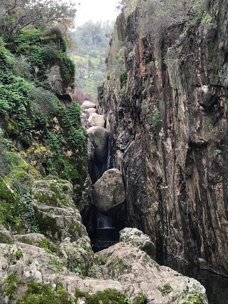 arroyo calzadillas