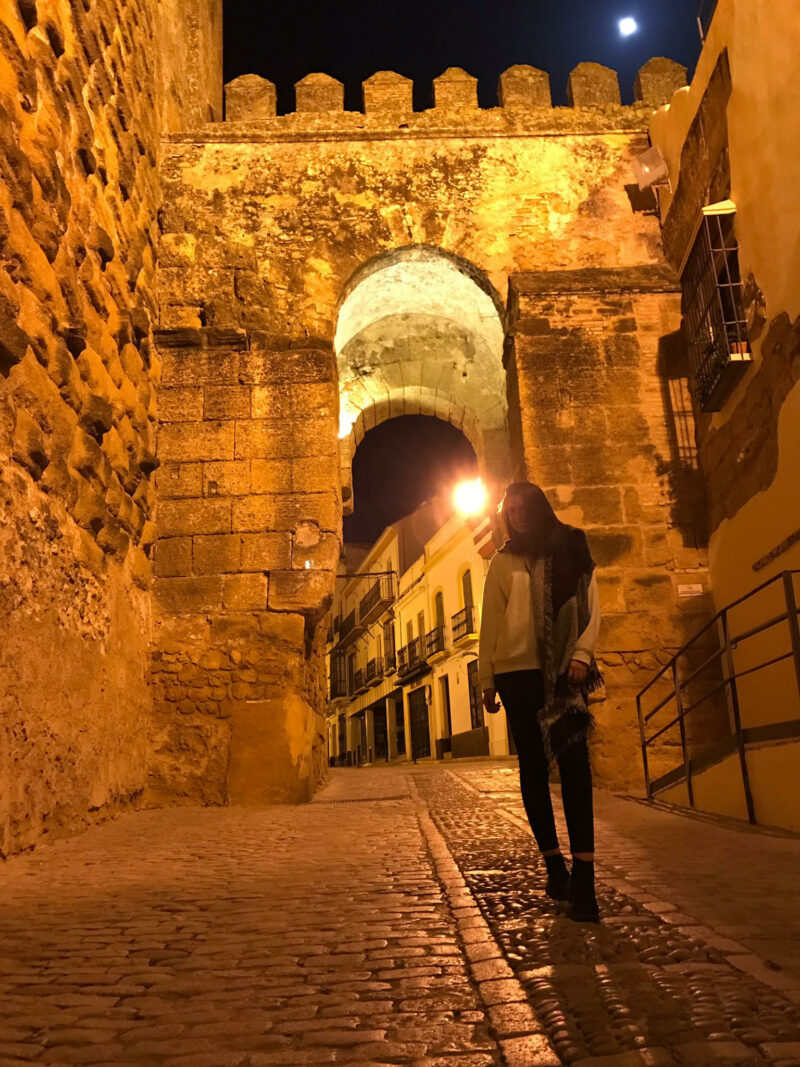 Puerta de Sevilla.