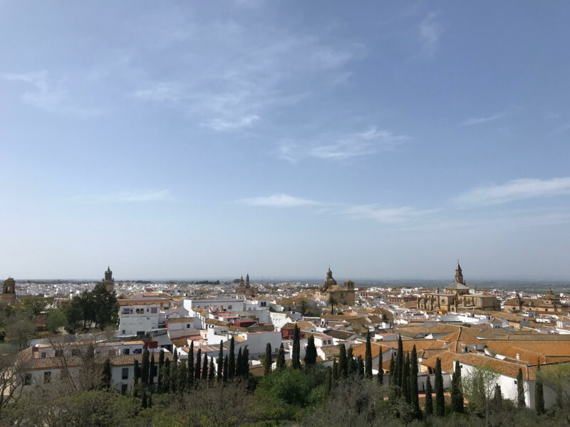 Vistas de Carmona desde el Alcázar